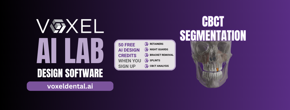 ai design cbct segmentation